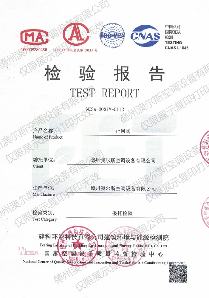 止回閥檢測報告